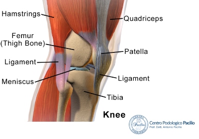 trauma-dell'hamstring