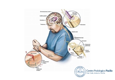 pudendalgia