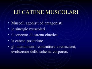 catene-muscolari-prof-antonio-pacilio