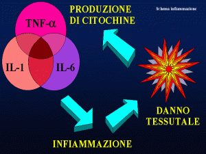 infiammazione