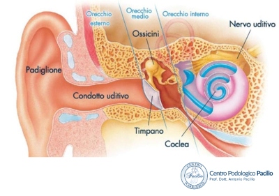 acufeni